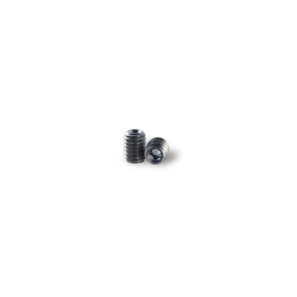 Inserts en inox M8x10