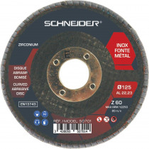 Disque à lamelles bombé 125x22mm GR 60