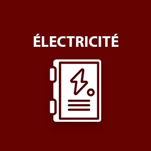 Circuit électrique